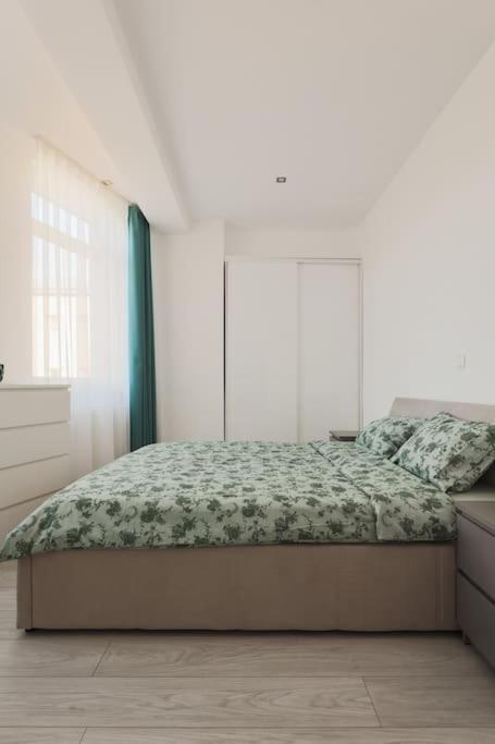 Ambassador Apartment Baia Mare Buitenkant foto