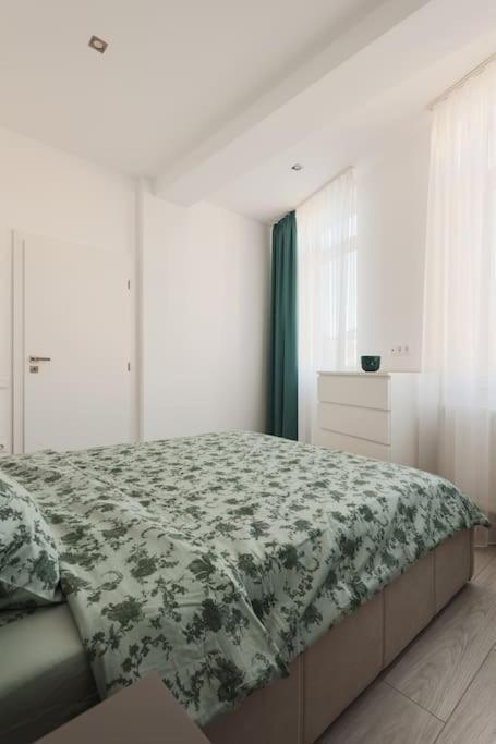 Ambassador Apartment Baia Mare Buitenkant foto